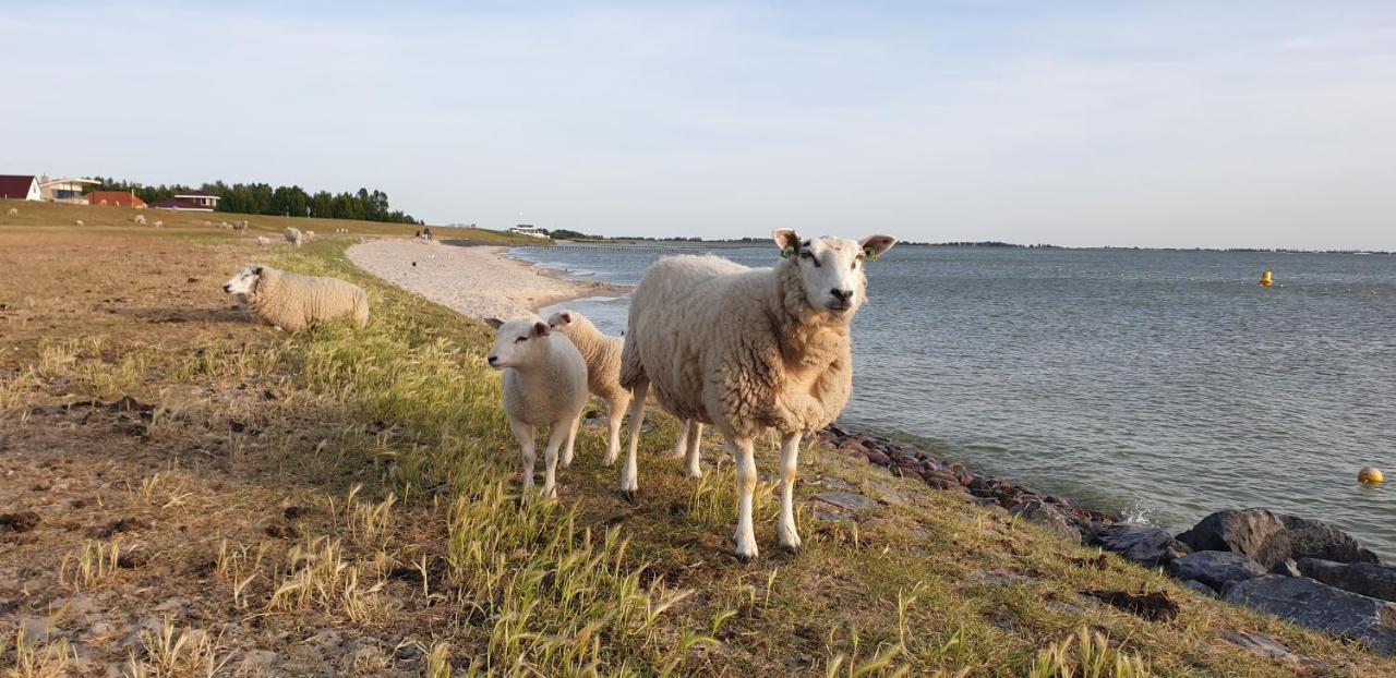 Vakantiehuis Uus Klinte Hindeloopen Luaran gambar